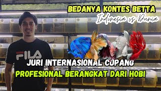 Boston Betta Perjalanan Menjadi Juri Internasional Ikan Cupang Kompetisi Betta Lokal amp Luar Negeri [upl. by Reneta186]