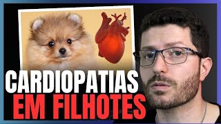 Filhotes com problemas no coração Cardiopatia em filhotes [upl. by Logan]