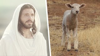 Jesus Christ the Passover Lamb [upl. by Novyert314]