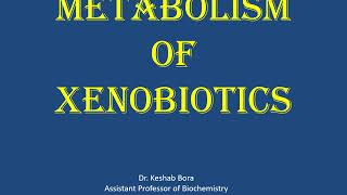 Metabolism of xenobiotics [upl. by Yenmor]