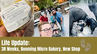 Life Update 38 Weeks Pregnant Booming Micro Bakery New Shop [upl. by Arehc603]