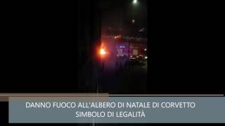 MILANO  DANNO FUOCO ALLALBERO DI NATALE DI CORVETTO SIMBOLO DI LEGALITÀ [upl. by Mages]