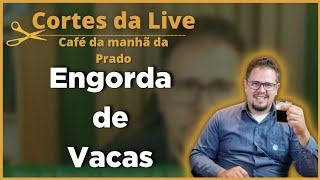 O que é indicado para ENGORDA DE VACAS DESCARTE [upl. by Aneg429]