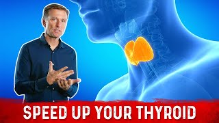 How to Get Your Thyroid to Work Correctly [upl. by Essilec535]