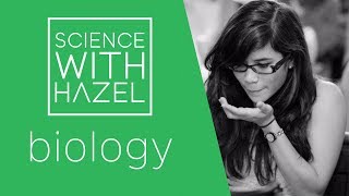 Food Tests  GCSE Biology Revision  SCIENCE WITH HAZEL [upl. by Pol]