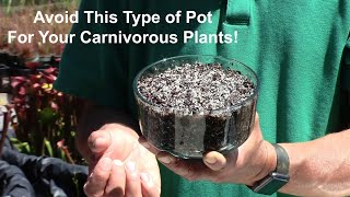 Avoid This Type of Pot for Your Carnivorous Plants [upl. by Burris]