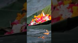 Chhath puja song chhath chhathpuja chhathgeet viral youtubeshorts [upl. by Attela448]