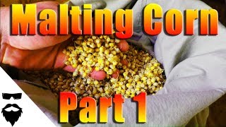 HOW TO MALT CORN FOR MOONSHINE amp BEER  EASY Part 1 [upl. by Trinity]