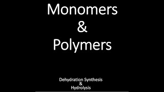 Monomers Polymers amp Dehydration Synthesis  Hydrolysis [upl. by Coben]