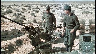 Italian AntiAircraft Artillery of World War II [upl. by Noel]