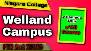 Welland Campus  Niagara College  All Courses and Campus Tour  2021 [upl. by Breanne]