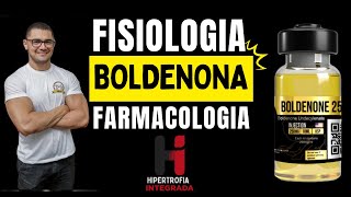 Boldenona  Fisiologia e Farmacologia [upl. by Oflodor]