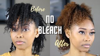 How I Dye My Natural Hair With No Bleach  Clairol Review [upl. by Graniah435]