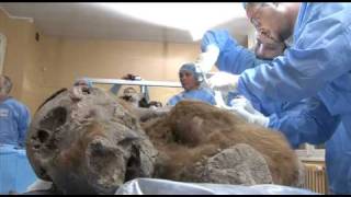 Collection de documentaires scientifiques quotRecherchesquot  Bande annonce [upl. by Noseyt]