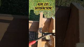 SATISFACTION Removing your kerf cut pieces kerfcut notches hammertime circsaw [upl. by Ariadne]