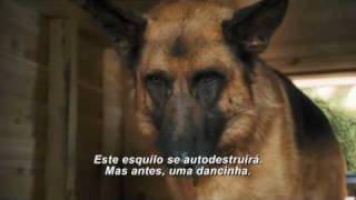 Como Cães e Gatos 2  Trailer Teaser legendado [upl. by Nyladnar]