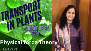 Physical Force Theory  Best Explanation  Ascent Of Sap  Transport In Plants Biology Ocean [upl. by Malva652]