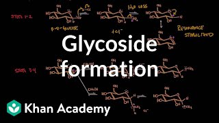 Carbohydrate  Glycoside formation hydrolysis  Chemical processes  MCAT  Khan Academy [upl. by Ynaffets]