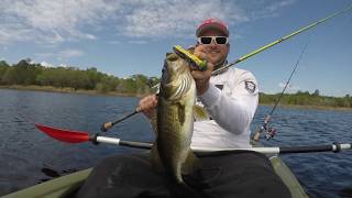 Lunkerhunt Froglet FULL REVIEW [upl. by Nicram]