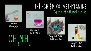 Thí nghiệm với methylamine CH3NH2  Quỳ tím CH3NH2  HCl CH3NH2  CuSO4 CH3NH2  FeCl3 [upl. by Olmstead]