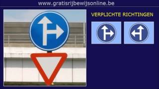 GRATIS RIJBEWIJS ONLINE 23 Rijbewijs B  VERPLICHTE RIJRICHTING  EENRICHTINGSVERKEER [upl. by Naesyar]