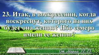 ВидеоБиблия Евангелие от Марка без музыки глава 12 читает Бондаренко [upl. by Acinimod]