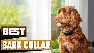 Bark Collar  You Should Try at least Once [upl. by Otsirave]