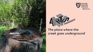 ArtsThursdays The place where the creek goes underground [upl. by Eimile347]