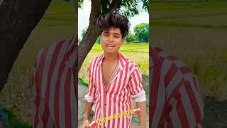 Piche Piche ghumela Gulab wala Phoolshortvideo jitendra 2024 [upl. by Budding353]