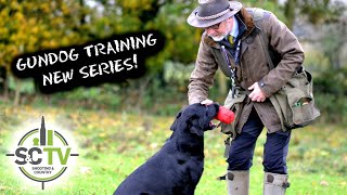 Shooting amp Country TV  Gundog training for the field  Introducing our NEW puppy training series [upl. by Nive50]