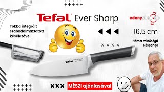 És íme a quottitkosquot projektem karácsonyra  Automata élezővel ellátott Tefal kés 10000 Ft alatt [upl. by Rey298]