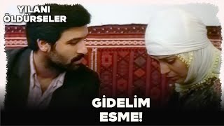 Yılanı Öldürseler Türk Filmi  Ali Esmeye Sevdalanıyor [upl. by Gottuard]