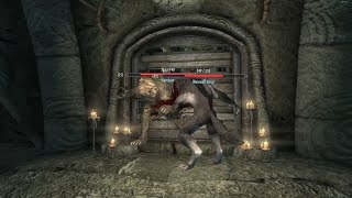 Skyrim Battles  Werewolf vs Giant Werebear Harkon and more [upl. by Eittel]