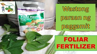 How Foliar fertilizer works Tamang Pagaabono ng foliar fertilizer  Agrigabay [upl. by Avera]