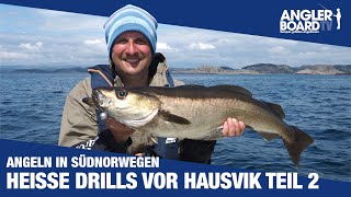 Angeln in Südnorwegen ‒ heiße Drills vor Hausvik Teil 2 ‒ Pollackangeln Leng und Posenmontage Ufer [upl. by Rae]