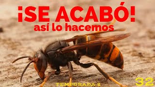 🐝COMO hacer TROYANOS ✅ TUTORIAL ACABA con las VELUTINAS 🐝 [upl. by Frodi667]