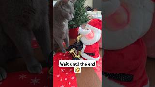 My cat was not a fan of our new Christmas decoration 🤣 cat funny fail kittten pets [upl. by Nwahsuq]