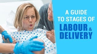 A Guide to Stages of Labour amp Delivery [upl. by Bina]