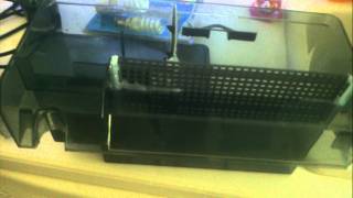 Diy aquaclear 110 refugium and fuge light [upl. by Helene]