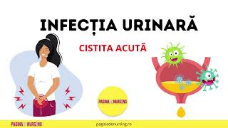 Infecția urinară sau Cistita acută îngrijirea pacientului cu cistită [upl. by Epilihp]