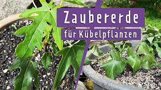 DIY Pflanzerde selber mischen  MDR Garten [upl. by Zaragoza]