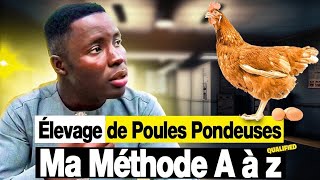 Aviculture  Élevage des poules pondeuses En Afrique  MA MÉTHODE A à Z [upl. by Ameen]