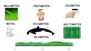 Rekenen met het metriek stelsel Deel 1 Lengte [upl. by Jarus]