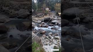 Bhai aap log Kyon Nahin samajh rahe ho maja karna hai to a jao Manali manali manalitouristplaces [upl. by Nivak]