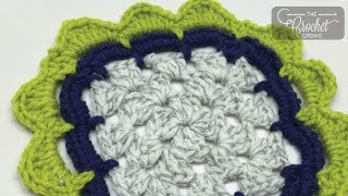 Crochet Border  Petal Edge  BEGINNER  The Crochet Crowd [upl. by Tichon441]