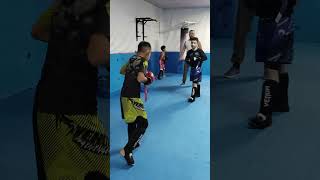 Kickboxing Ali sparring Sanjarmotivation ufcboxing [upl. by Eiramadnil]