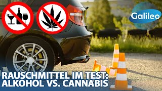 Auto fahren im Rausch Alkohol vs Cannabis [upl. by Mehitable]