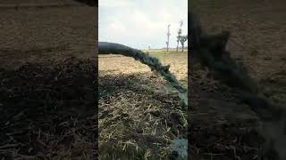 Kedalaman 60 meter videoshort sawah [upl. by Zirkle]