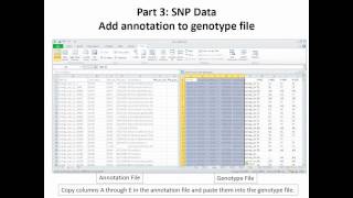 What To Do When your SNP Data Set Arrives A Case Study [upl. by Anairda]