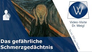 Was ist chronischer Schmerz Wie durch Langzeitpotenzierung im Gehirn ein Schmerzgedächtnis entsteht [upl. by Bettina]